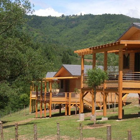 La Ferme Du Duzou Villa Saint-Cyprien-sur-Dourdou Exterior foto