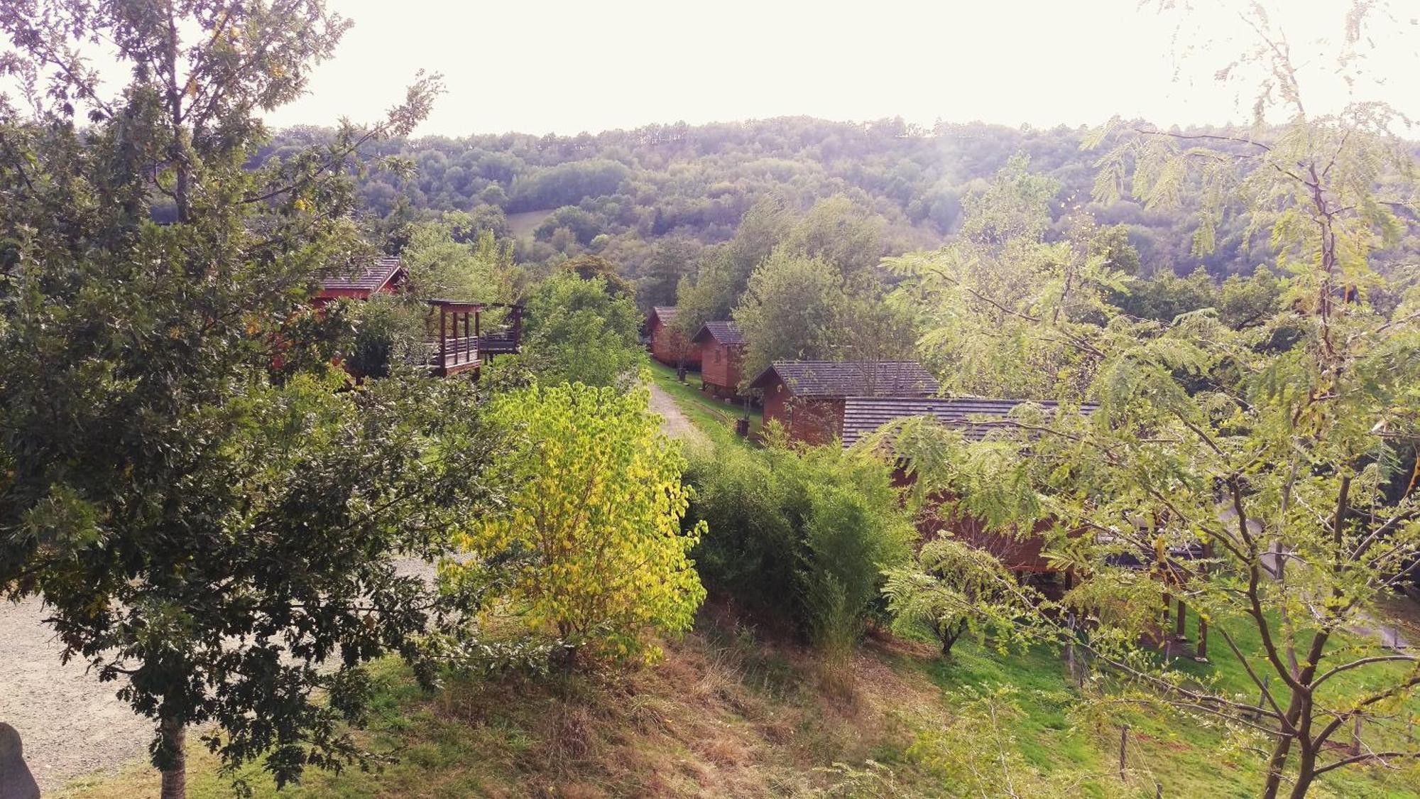 La Ferme Du Duzou Villa Saint-Cyprien-sur-Dourdou Exterior foto