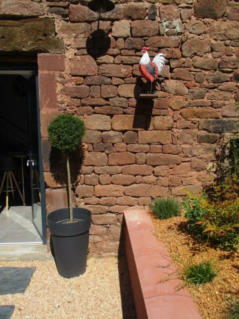 La Ferme Du Duzou Villa Saint-Cyprien-sur-Dourdou Exterior foto